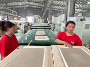 891A99B3-8911-493A-947A-7BE545B990A4_1_105_c (1)